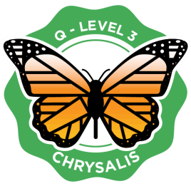 Metamorphosis Badge